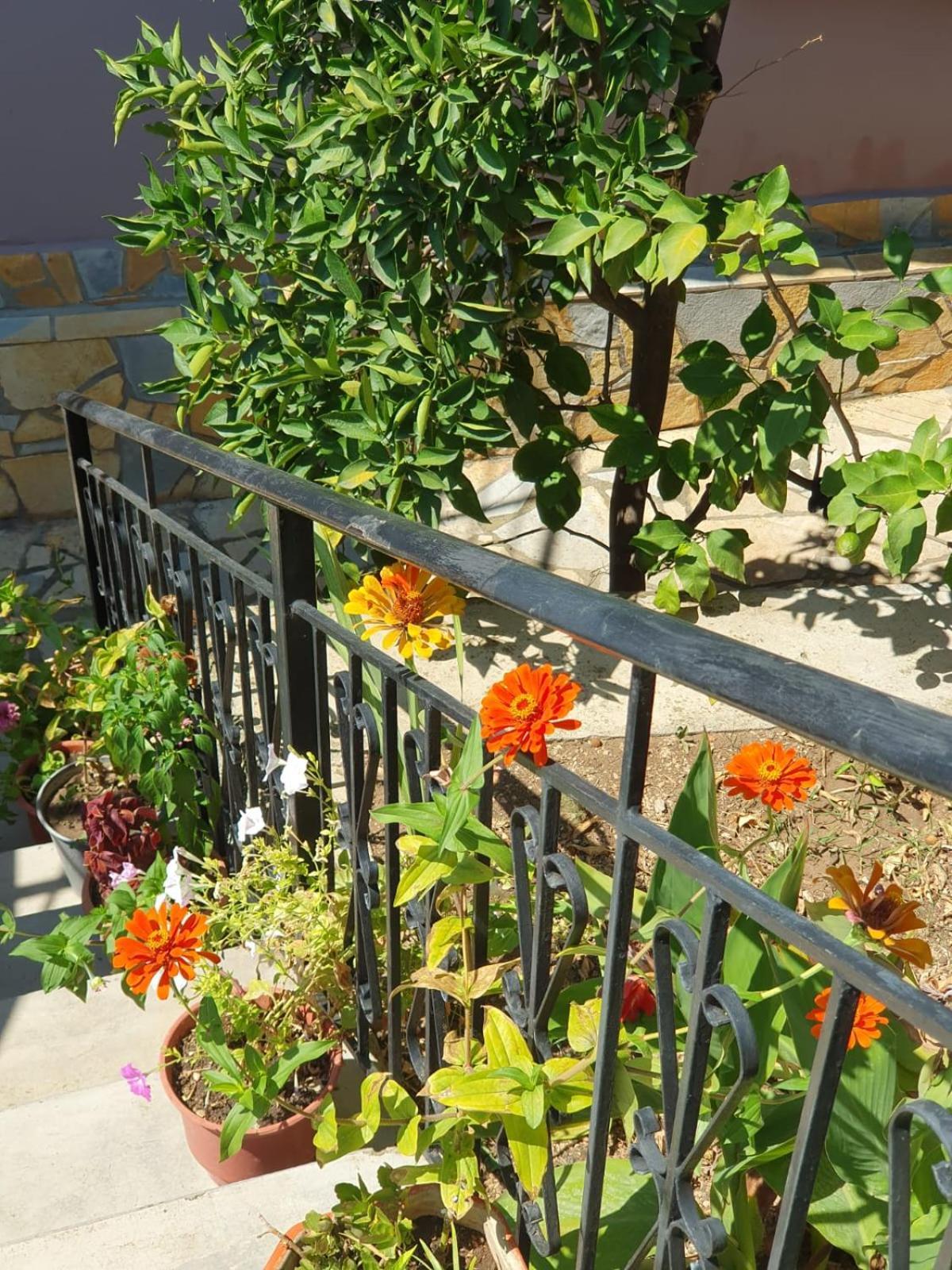 Sara Guesthouse Berat Kültér fotó
