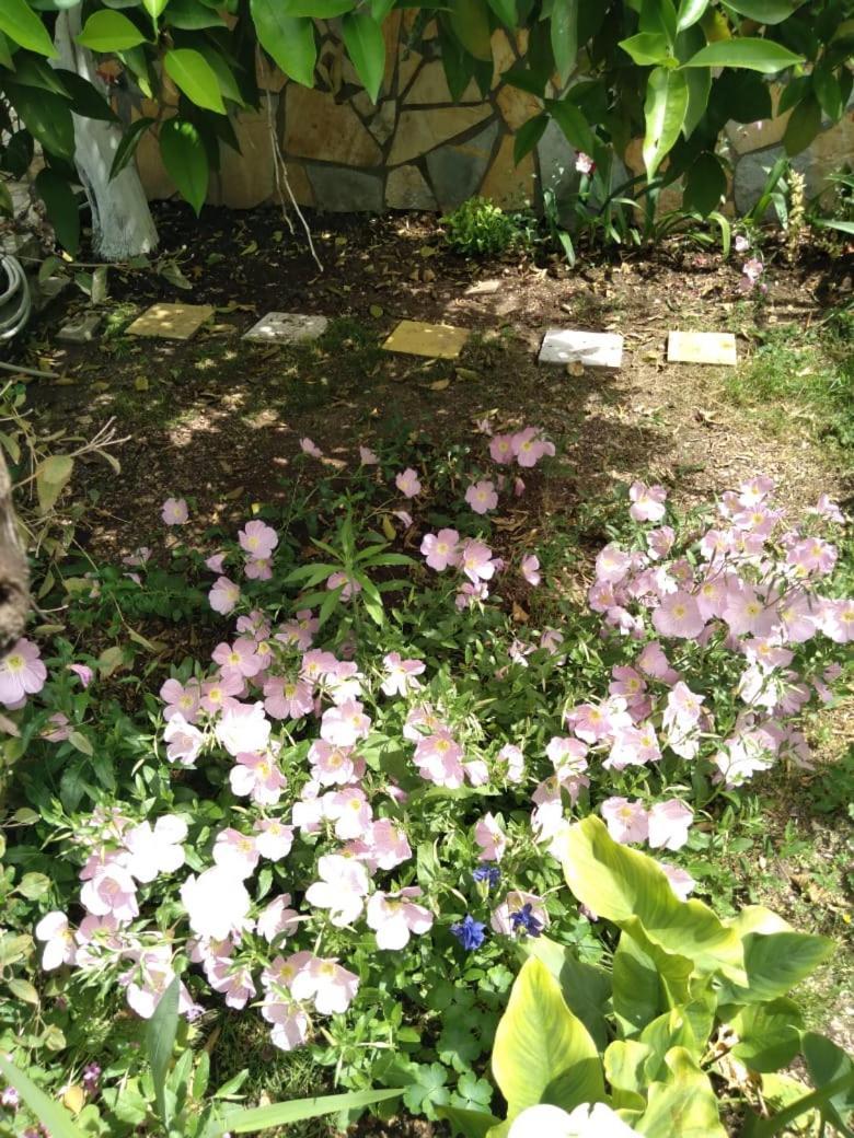 Sara Guesthouse Berat Kültér fotó
