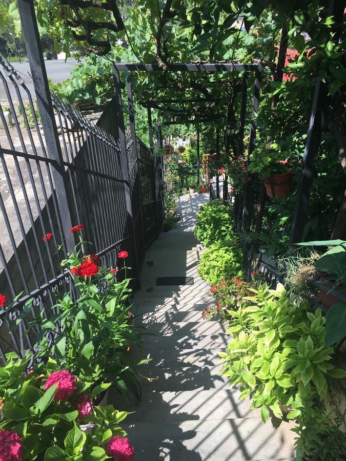 Sara Guesthouse Berat Kültér fotó